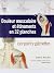 Douleur musculaire et étire...