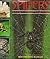 Spiders: An Illustrated Guide