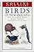 Collins Field Guide to the Birds of New Zealand