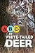 ABCs of the White-tailed Deer