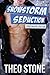 Snowstorm Seduction by Theo Stone