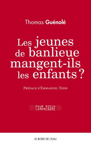 Les jeunes de banlieue mangent-ils les enfants ? (Broché)