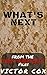 What's Next: From the Top Secret Files: Gay Military Erotica