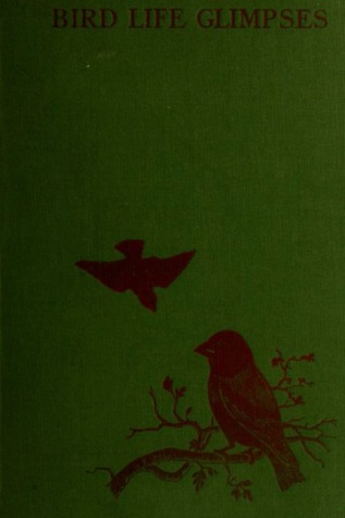 Bird Life Glimpses