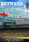 Between Medicine and the Innerworld: Contemporary Fiction Series