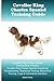 Cavalier King Charles Spaniel Training Guide. Cavalier King Charles Spaniel Training Book Includes: Socializing, Housetraining, Obedience Training, Cues & Commands and More