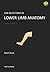 208 Questions in Lower Limb...