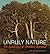 Unruly Nature: The Landscapes of Théodore Rousseau