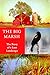 The Big Marsh: The Story of...