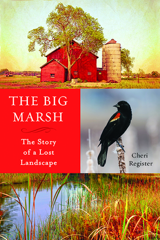 The Big Marsh: The Story of a Lost Landscape