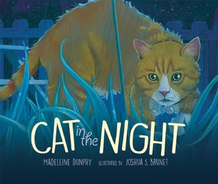 Cat in the Night