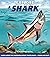 Explore a Shark