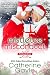 Mistletoe Misconduct (Portland Storm #7.6)
