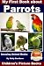 My First Book about Parrots: Amazing Animal Books - Children's Picture Books