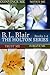 The Holton Series Box Set