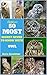Owl Book For Kids : 50 Most Secret Never To Know With Owl (Owl Book For Kids, Owl, Owl Books, Owl Facts For Kids, Owl Facts, Animal Photo Book, Animal Books For Kids)