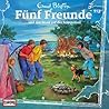 Fünf Freunde und das Feuer auf der Felseninsel (Fünf Freunde, #113)
