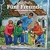 Fünf Freunde und die mysteriöse Botschaft (Fünf Freunde, #109)