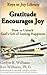 Gratitude Encourages Joy: How to Unlock God’s Gift of Lasting Happiness (Keys to Joy Library Book 12)