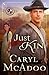 Just Kin (Texas Romance #6)