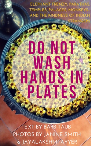 Do Not Wash Hands In Plates: Elephant frenzy, parathas, temples, palaces, monkeys...and the kindness of Indian strangers