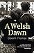 A Welsh Dawn