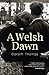 A Welsh Dawn