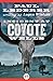 Incident at Coyote Wells