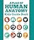 Atlas Of Human Anatomy by Speedy Publishing LLC