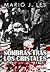 Sombras tras los cristales