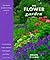 The Flower Garden by Helen Dillon