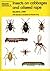 Insects on Cabbages and Oilseed Rape by William D.J. Kirk