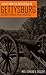 Leaves from the Battlefield of Gettysburg: Letters from a Field Hospital (Abridged, Annotated)