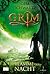 Płomień nocy (Grim, #3)