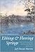 Ebbing & Flowing Springs: N...