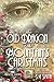 The Old Dragon of the Mountain's Christmas (Dragon Lords of Valdier, #9)