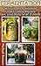 Fermentation: 28 Awesome Fermented Food & Drink Recipes. Give Your Body What It Needs!: (Fermentation for Beginners,Fermentation Made Easy, Fermentation ... recipes for weight loss,clean eating)
