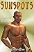 Sunspots (Angel Falls 3)