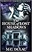 The House of Lost Shadows