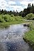 Ripples & Reflections: From...