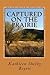 Captured on the Prairie: True Tales of Indian Captivity