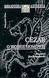 O wojnie domowej