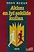 Aklını En İyi Şekilde Kullan