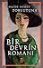 Bir Devrin Romanı