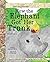 How the Elephant Got Her Trunk (Just So Much Fun Stories)