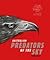 Australian Predators of the Sky