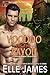 Voodoo on the Bayou by Elle James