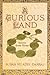 A Curious Land by Susan Muaddi Darraj