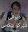 دیوانی شێرکۆ بێکەس - بەرگی ٢