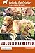 Golden retriever: Guia prático ilustrado (Coleção Pet Criador) (Portuguese Edition)